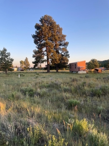 Tiny Home in Rio Chama Estates - Chama NM - image 1