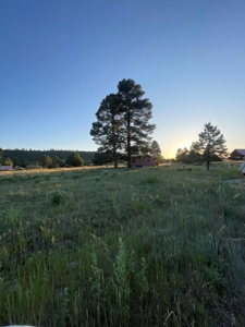 Tiny Home in Rio Chama Estates - Chama NM - image 2