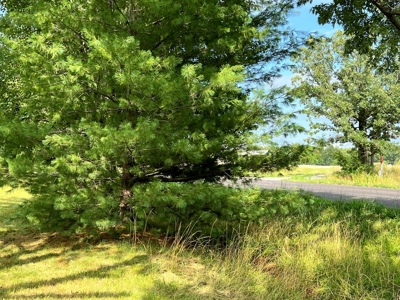 Residential Land for Sale in Phelps County, MO - image 8