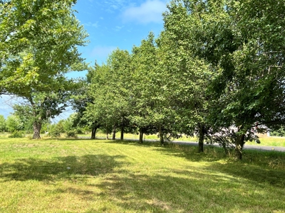 Residential Land for Sale in Phelps County, MO - image 9