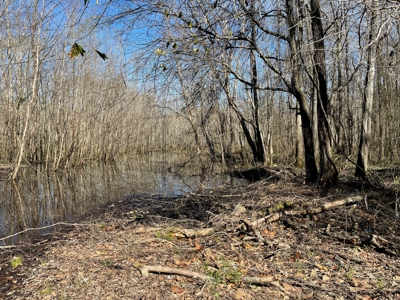 Acreage For Sale In Tn – Unrestricted Land, Hunting, Creek - image 12