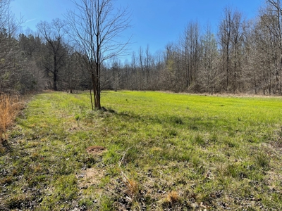 Acreage For Sale In Tn – Unrestricted Land, Hunting, Creek - image 15