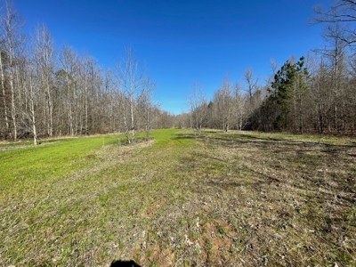 Acreage For Sale In Tn – Unrestricted Land, Hunting, Creek - image 5