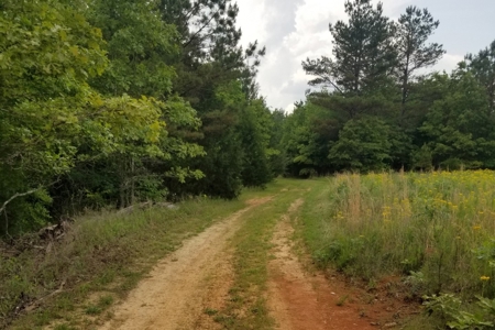 Acreage For Sale In Tn – Unrestricted Land, Hunting, Creek - image 13