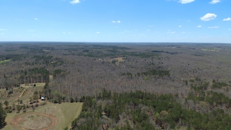 Acreage For Sale In Tn – Unrestricted Land, Hunting, Creek - image 1