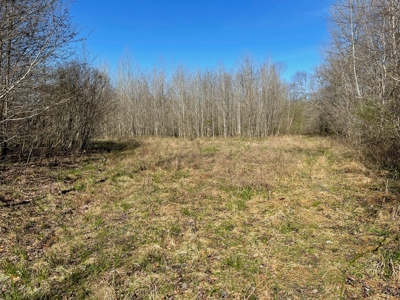 Acreage For Sale In Tn – Unrestricted Land, Hunting, Creek - image 6