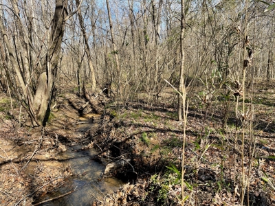 Acreage For Sale In Tn – Unrestricted Land, Hunting, Creek - image 11