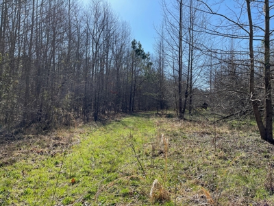 Acreage For Sale In Tn – Unrestricted Land, Hunting, Creek - image 17