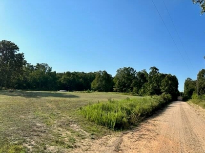 Vacant Land in Oregon County Missouri - image 5