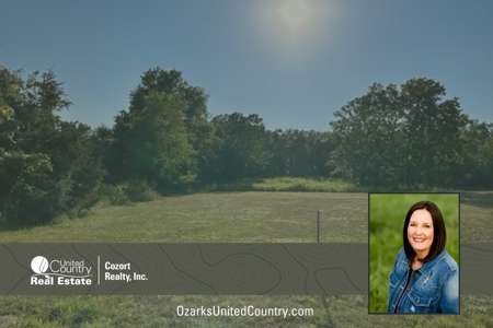 Vacant Land in Oregon County Missouri - image 1