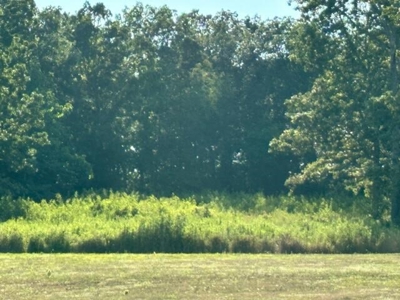 Vacant Land in Oregon County Missouri - image 2