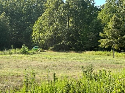 Vacant Land in Oregon County Missouri - image 3