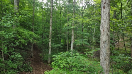 Land For Sale - image 16