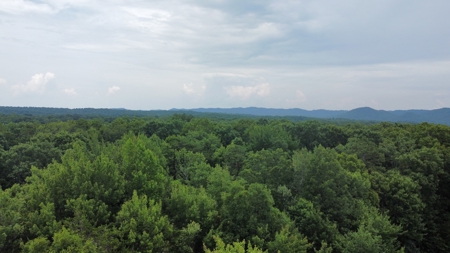 Land For Sale - image 8
