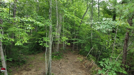 Land For Sale - image 4