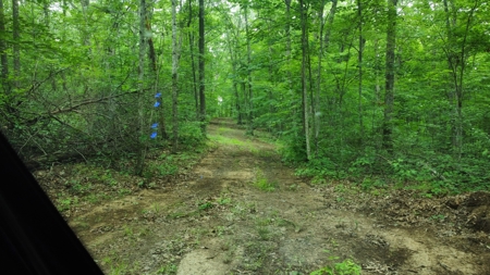 Land For Sale - image 3