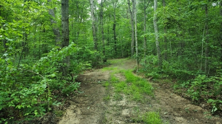 Land For Sale - image 1
