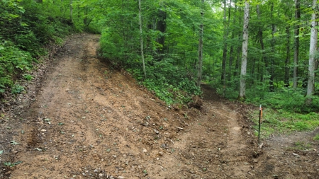 Land For Sale - image 19