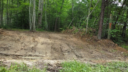 Land For Sale - image 7