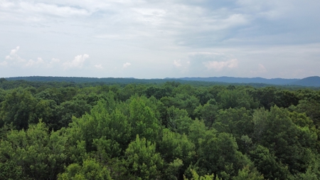 Land For Sale - image 21