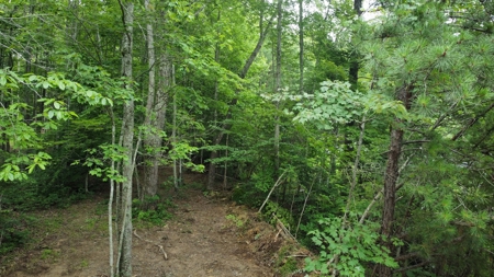 Land For Sale - image 5