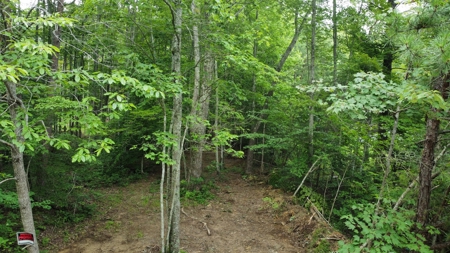 Land For Sale - image 6