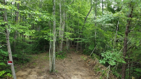 Land For Sale - image 10