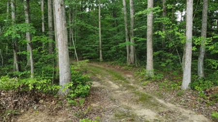 Land For Sale - image 12
