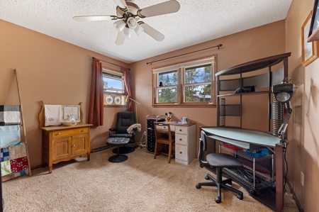 Rapid City SD Homes for Sale, Pennington County, Southern SD - image 22