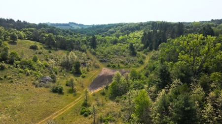Waushara County 367 Timber & Hunting Tract - image 3