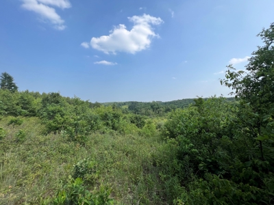 Waushara County 367 Timber & Hunting Tract - image 32