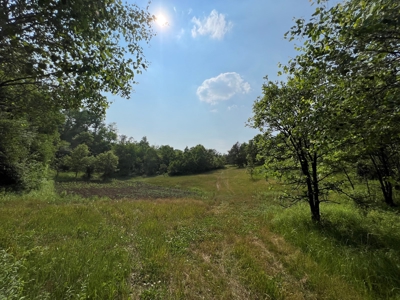 Waushara County 367 Timber & Hunting Tract - image 23