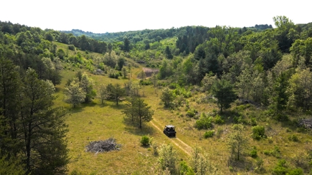 Waushara County 367 Timber & Hunting Tract - image 6