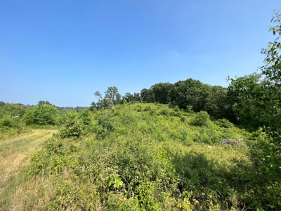 Waushara County 367 Timber & Hunting Tract - image 13