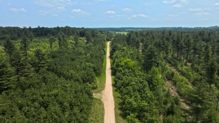 Waushara County 367 Timber & Hunting Tract - image 15