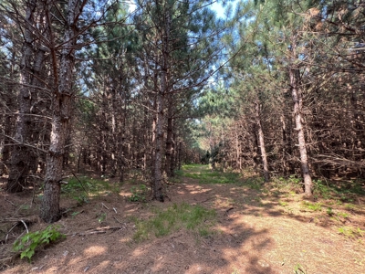 Waushara County 367 Timber & Hunting Tract - image 24