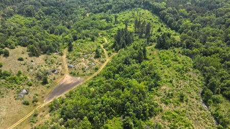 Waushara County 367 Timber & Hunting Tract - image 8