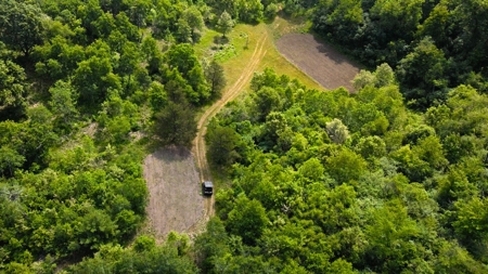 Waushara County 367 Timber & Hunting Tract - image 18