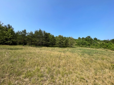 Waushara County 367 Timber & Hunting Tract - image 22