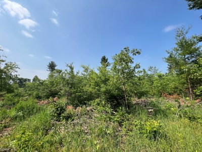 Waushara County 367 Timber & Hunting Tract - image 31