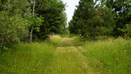 Waushara County 367 Timber & Hunting Tract - image 20