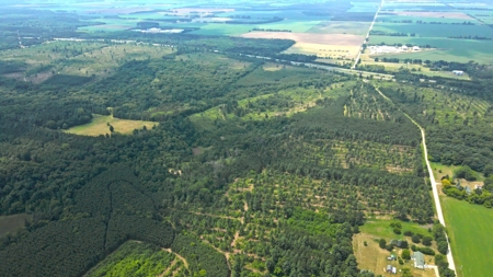 Waushara County 367 Timber & Hunting Tract - image 21