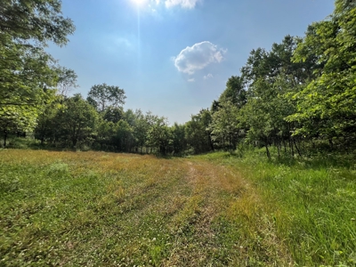 Waushara County 367 Timber & Hunting Tract - image 25