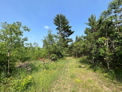 Waushara County 367 Timber & Hunting Tract - image 30