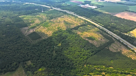 Waushara County 367 Timber & Hunting Tract - image 16