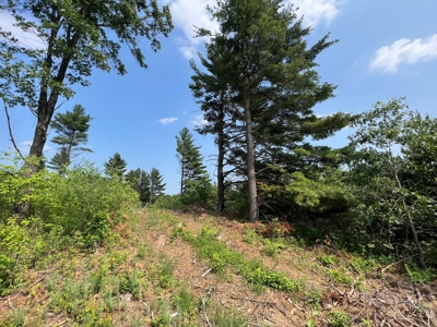 Waushara County 367 Timber & Hunting Tract - image 28
