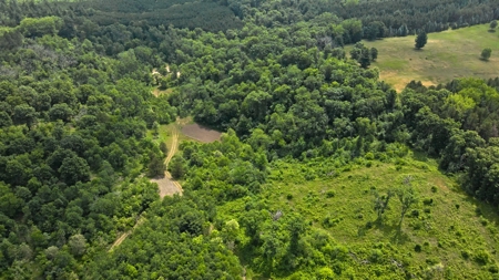 Waushara County 367 Timber & Hunting Tract - image 17
