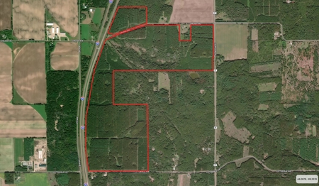 Waushara County 367 Timber & Hunting Tract - image 4