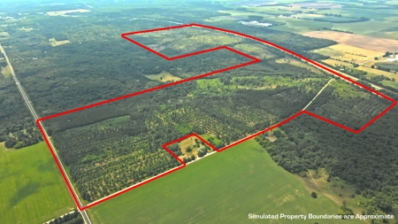 Waushara County 367 Timber & Hunting Tract - image 1