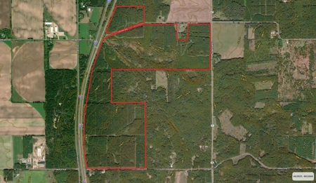 Waushara County 367 Timber & Hunting Tract - image 14